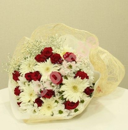 Image 0